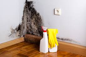 Dehumidification Services in Woodlawn Beach, FL